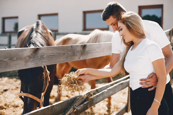 Красива пара проводить час з конями — стокове фото