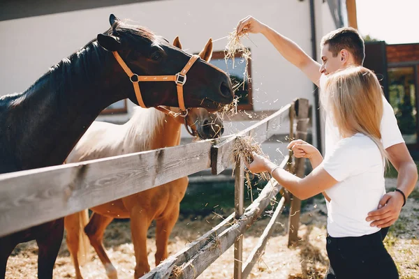 Mooi paartijd doorbrengen met een paarden — Stockfoto