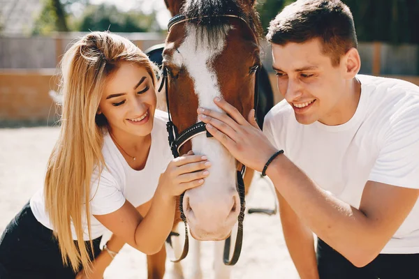 Belo casal passar o tempo com um cavalos — Fotografia de Stock