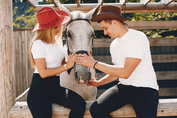 Belo casal passar o tempo com um cavalos — Fotografia de Stock