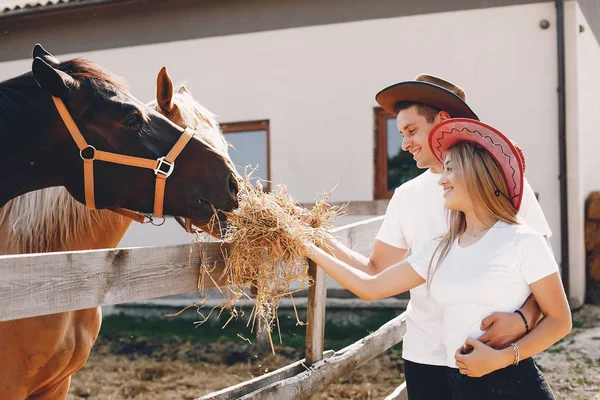 Hermosa pareja pasar tiempo con un caballo —  Fotos de Stock