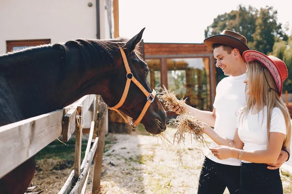 Красивая пара проводит время с лошадьми — стоковое фото