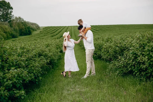 夏の畑で遊ぶかわいい家族 — ストック写真