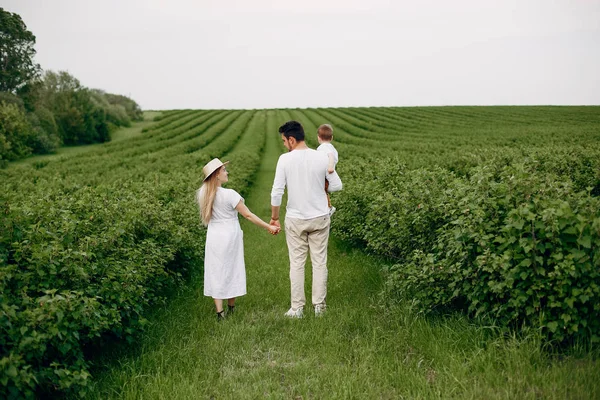 Söt familj som leker på ett sommarfält — Stockfoto