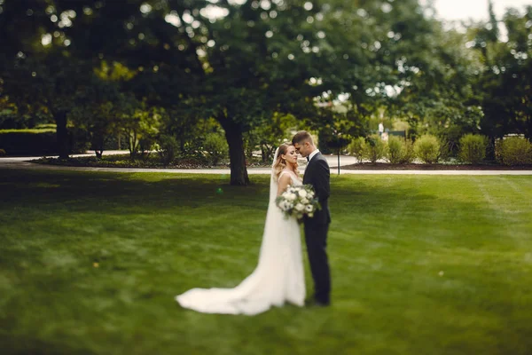 Casal elegante — Fotografia de Stock