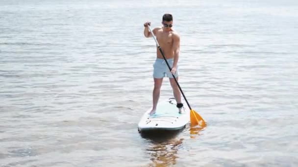 Fit man paddleboarding outside on the lake — Stock Video