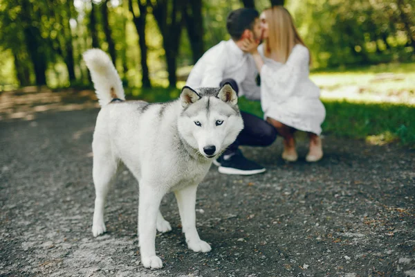 Pareja elegante en un bosque — Foto de Stock