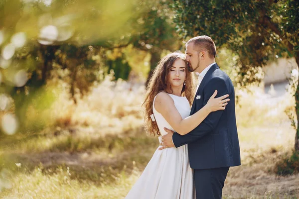 Grooms in nature — Stock Photo, Image