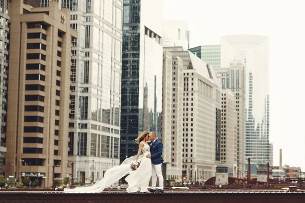 Elegant wedding couple — Stock Photo, Image