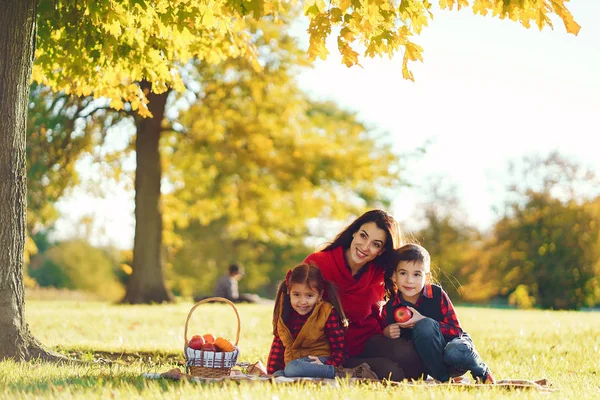 stock image Beautiful mother with little kids