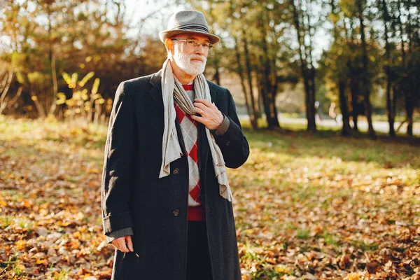 Elegant old man in a sunny autumn park — Stock Photo, Image