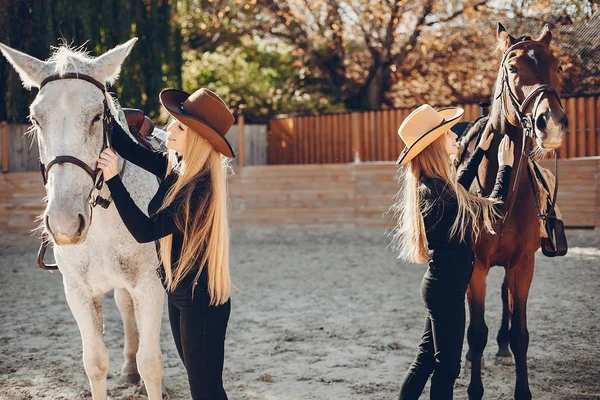 Элегантные девушки с лошадью на ранчо — стоковое фото