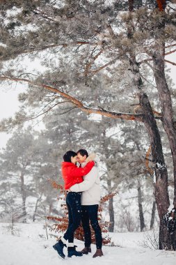 Sevgili çift kış parkında yürüyor.