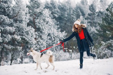 Güzel kadın bir köpekle oynamayı