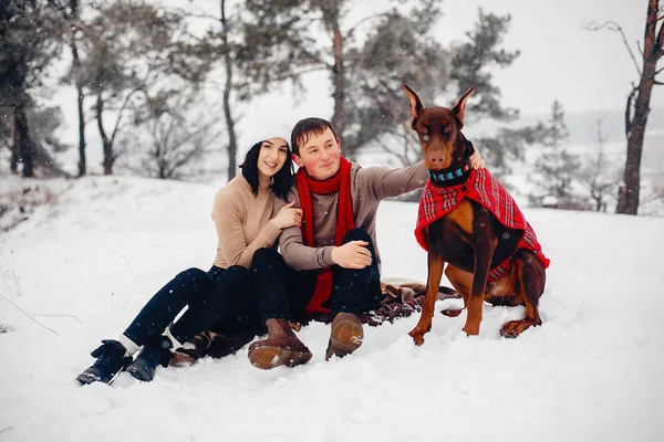 Et kjærlig par som går i en vinterpark – stockfoto