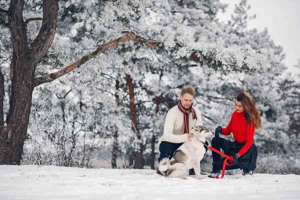 Beautiful couple playing with a dog — Stock Photo, Image