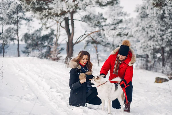 Beautiful couple playing with a dog — Stock Photo, Image