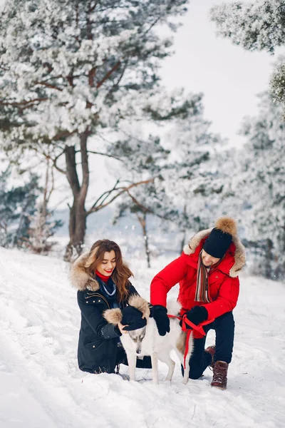 Beautiful couple playing with a dog — Stock Photo, Image