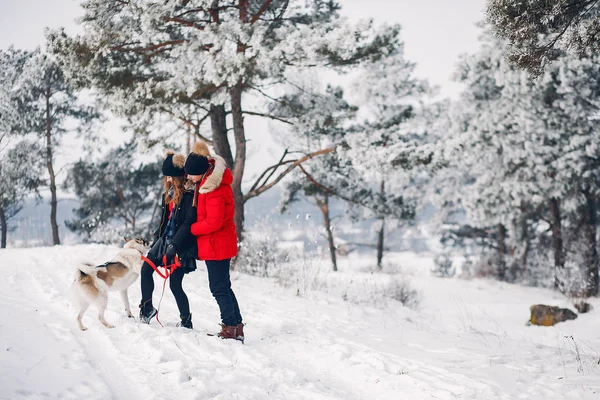 犬と遊ぶ美しいカップル — ストック写真