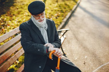 Güneşli bir sonbahar parkta zarif yaşlı adam