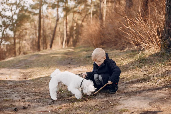 Kleine jongen in een park spelen met een hond — Stockfoto