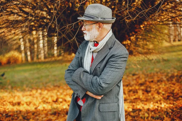 日当たりの良い秋の公園でエレガントな老人 — ストック写真
