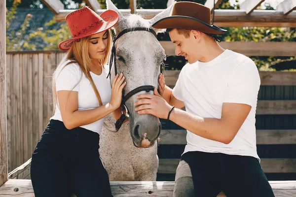 Beau couple passer du temps avec un cheval — Photo