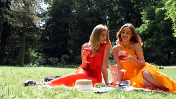 Dos chicas haciendo picnic y bebiendo vino en el parque — Vídeos de Stock