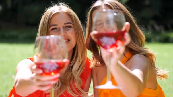 Dos chicas sosteniendo copas de vino frente a sus caras — Vídeo de stock