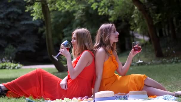 Chicas sentadas espalda con espalda haciendo picnic en el parque — Vídeos de Stock