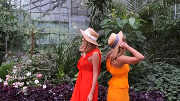 Δύο κορίτσια σε καπέλα που βρίσκονται σε φυτά στον βοτανικό κήπο — Αρχείο Βίντεο