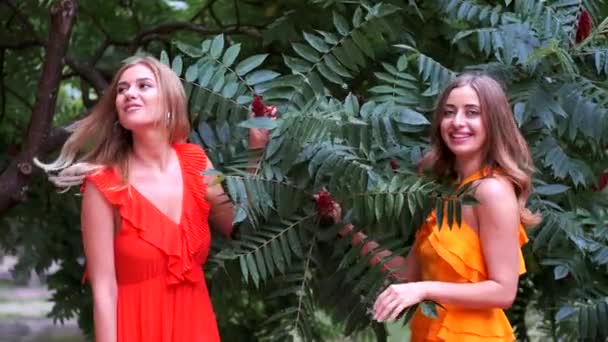 Les filles en chapeaux posent pour des photos. Les femmes portent des vêtements d'été. Les filles vont dans un jardin botanique pour voir des plantes bptaniques . — Video