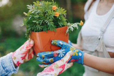 Güzel kadınlar evin yakınındaki bir bahçede çalışırlar.