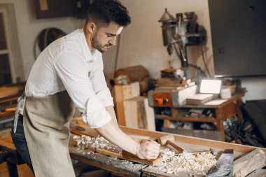 Tahtayla çalışan yakışıklı marangoz.