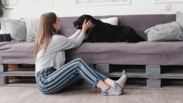 Barna lány öltözött alkalmi ruhák simogató fekete labrador fehér szobában ül a kanapén — Stock videók