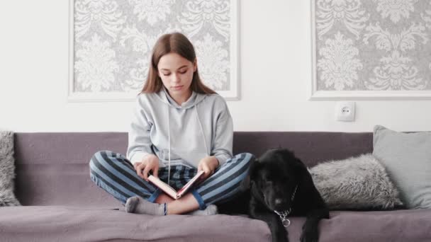 Kız, elinde labrador olan bir kanepede oturmuş ilginç bir kitap okuyor. — Stok video