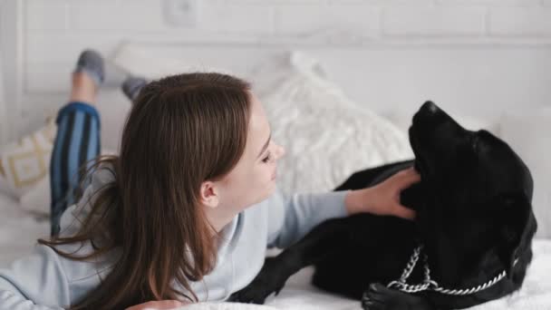 Brunette bermain dengan labrador duduk di tempat tidur di ruang putih — Stok Video