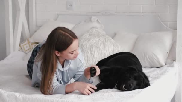 Brunett leka med labrador sitter på sängen i vitt rum — Stockvideo