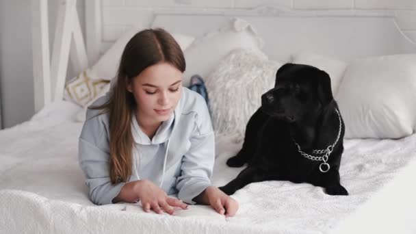 Brunett liggande på sängen och läser en bok med labrador — Stockvideo