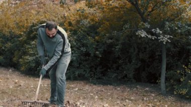 Bahçe işçisi bahçede tırmıkla kuru yaprakları tırmıklıyor.