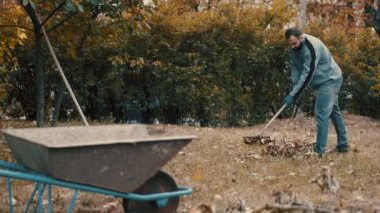 Bahçe işçisi bahçede tırmıkla kuru yaprakları tırmıklıyor.