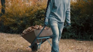 Bahçe işçisi kuru yapraklar ve ağaç dallarıyla dolu bir el arabasını çöplüğe itiyor ve bahçedeki yaprakları atıyor.