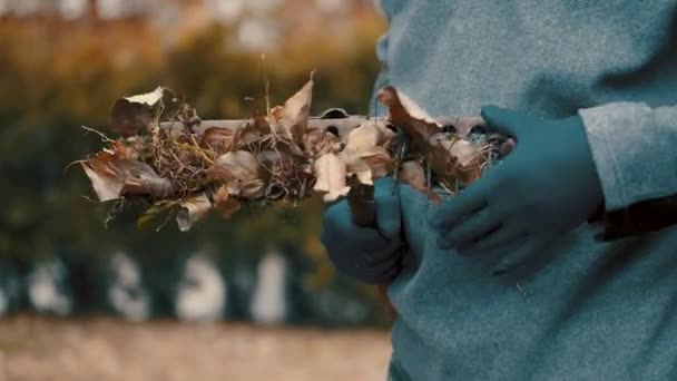 Morena hombre la eliminación de las hojas secas del rastrillo en el patio — Vídeos de Stock