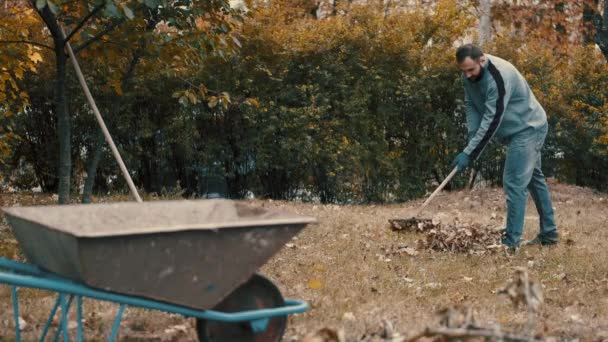 Trabalhador do jardim raking folhas secas no jardim com um ancinho — Vídeo de Stock