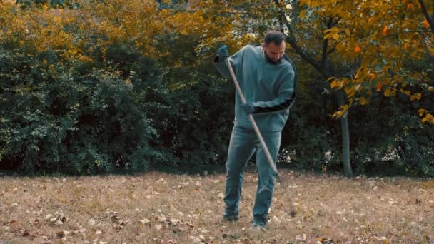 Tuinwerker harken droge bladeren in de tuin met een hark — Stockvideo