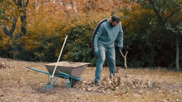 Bahçe işçisi kuru yaprakları ve ağaç dallarını el arabasına yüklüyor. — Stok video