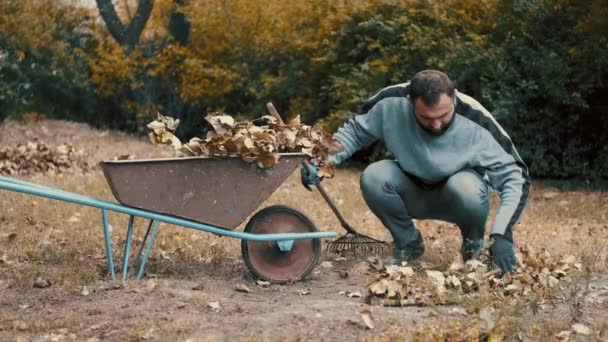 Садовник загружает сухие листья и ветви деревьев на тачку — стоковое видео