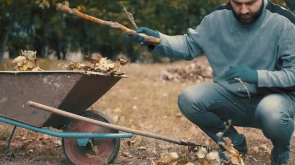 Zahradní dělník nakládající suché listí a větve stromů na kolečko — Stock video