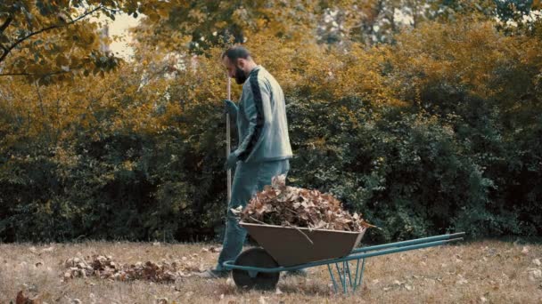 Trabajador del jardín cargando hojas secas y ramas de árboles en una carretilla — Vídeo de stock