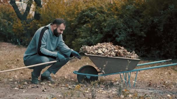 Bahçe işe yaradı. Kuru yaprakları tırmıktan temizleyen bir adam. — Stok video